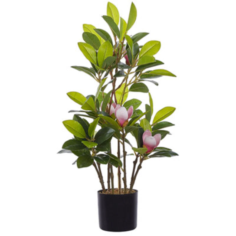 Image of Beliani Artificial Plant Magnolia 70 Cm Green