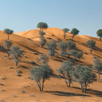 Image of Teleseen - Exposures EP (Feat. Black Loops) Vinyl