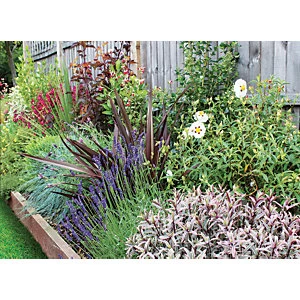 Image of Garden On A Roll Wildlife Border Pack 3m x 60cm Plants