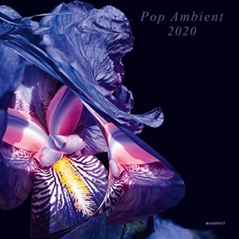 Image of Various Artists - Pop Ambient 2020 Vinyl