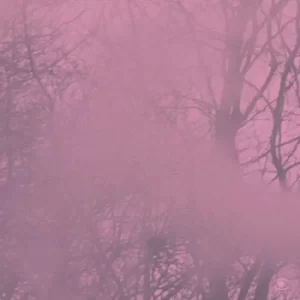 Image of Diagonal Music by Prins Emanuel Vinyl Album