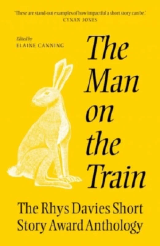 Image of The The Man on the Train : The Rhys Davies Short Story Competition Anthology Paperback / softback
