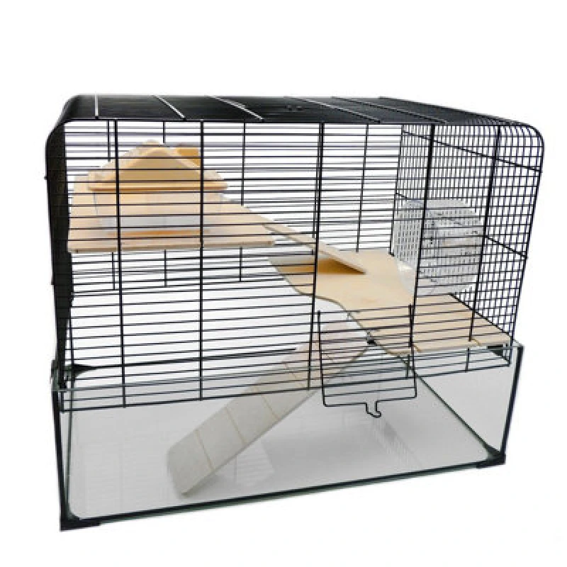 Image of Little Friends Savoy Gerbilarium Glass Cage With Accessories, 58.5 X 38 X 47.5 Cm