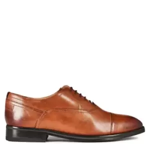 Image of Ted Baker Carlen Oxford Shoes - Brown