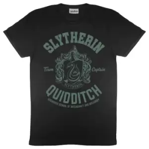 Image of Harry Potter Mens Slytherin Quidditch T-Shirt (M) (Black)