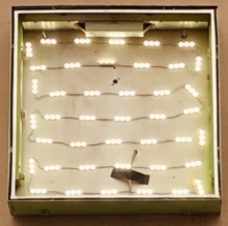 Image of Basking in the Glow CD / Album