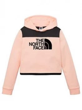Image of The North Face Girls Cropped Flock Logo Hoodie - Pink