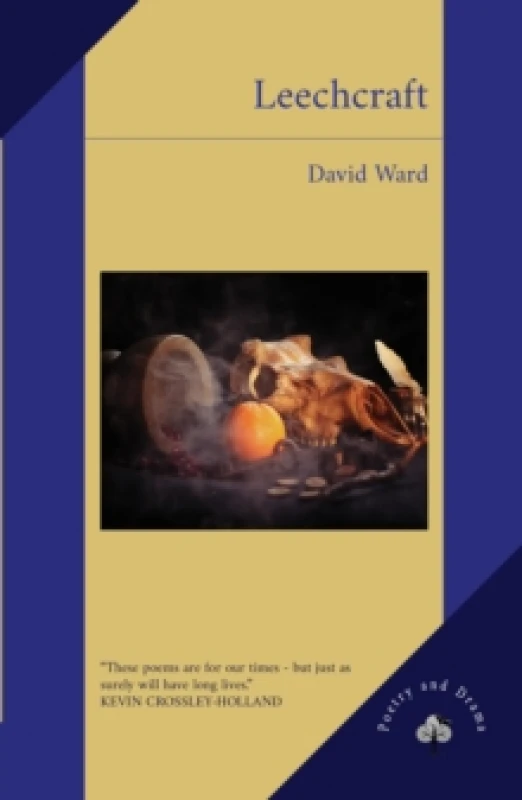 Image of Leechcraft Paperback / softback