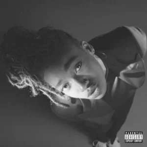 Image of Grey Area by Little Simz CD Album