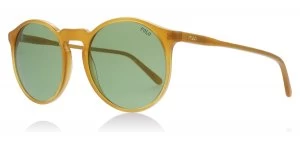 Image of Polo Ralph Lauren PH4129 Sunglasses Honey 527571 53mm