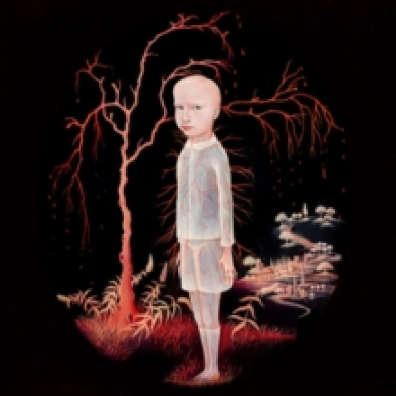 Image of The Smile You Send Out Returns to You Vinyl