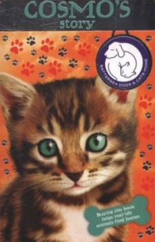 Image of Cosmos Story by Sarah Hawkins and Jason Chapman and Artful Doodlers Ltd Paperback