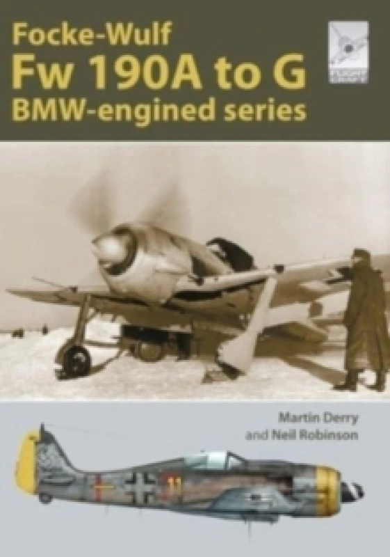 Image of Flight Craft Special 2: The Focke-Wulf Fw 190 : The A-G Series Paperback / softback