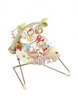 Image of Fisher Price Woodsy Friends Comfy Time Bouncer