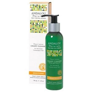 Image of Andalou Naturals Brightening Meyer Lemon C Creamy Cleanser 178ml