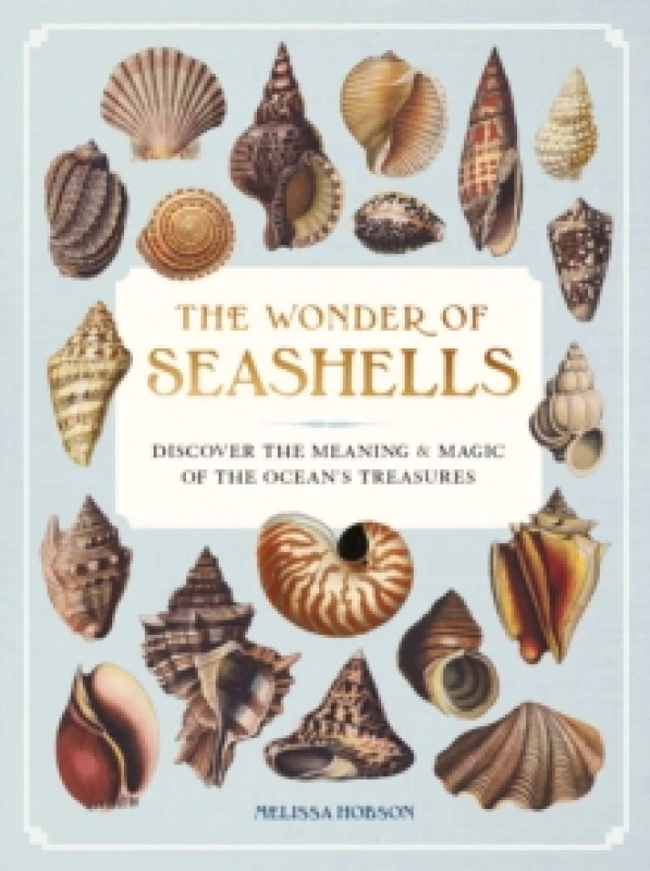 Image of The Wonder of Seashells : Discover the Meaning & Magic of the Oceans Treasures Hardback