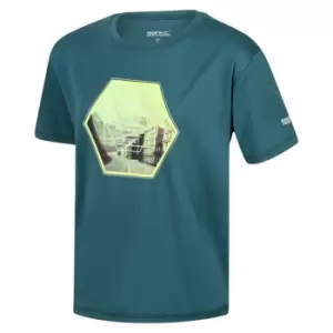 Image of Regatta Alvarado VI T-Shirt - PacificGreen