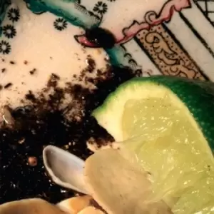 Image of Plays Bee Mask by Donato Dozzy Vinyl Album