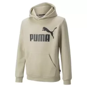 Image of Puma No1 OTH Hoodie Junior Boys - Beige