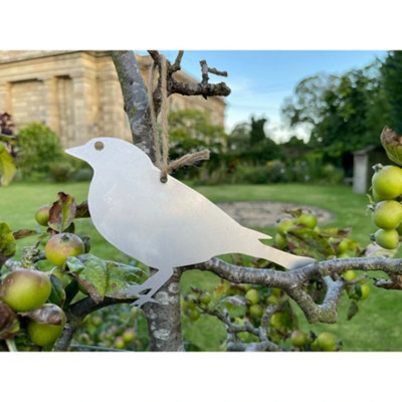 Image of Poppy Forge Hanging Finch Garden Art (Pack Of 3) - Bare Metal/ready To Rust - W20 X H13 Cm