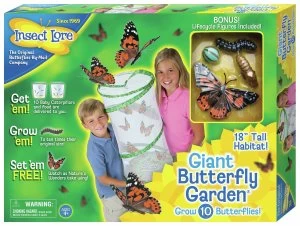 Image of Insect Lore Giant Live Butterfly Garden