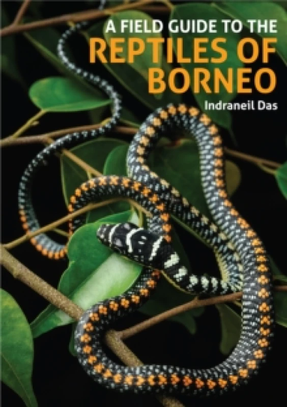 Image of A Field Guide to the Reptiles of Borneo Hardback
