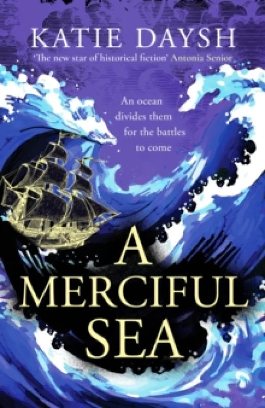 Image of A Merciful Sea Hardback