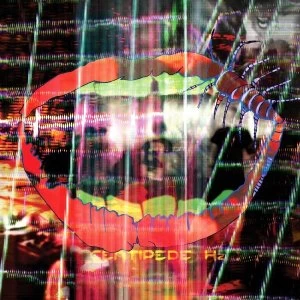 Image of Animal Collective - Centipede Hz Vinyl