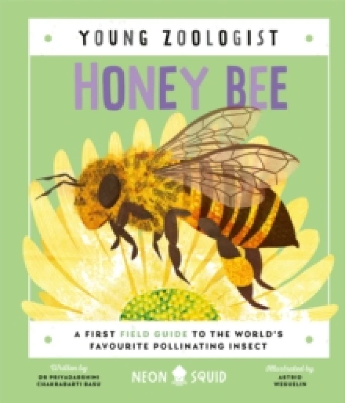 Image of Honey Bee (Young Zoologist) : A First Field Guide to the Worlds Favourite Pollinating Insect Hardback