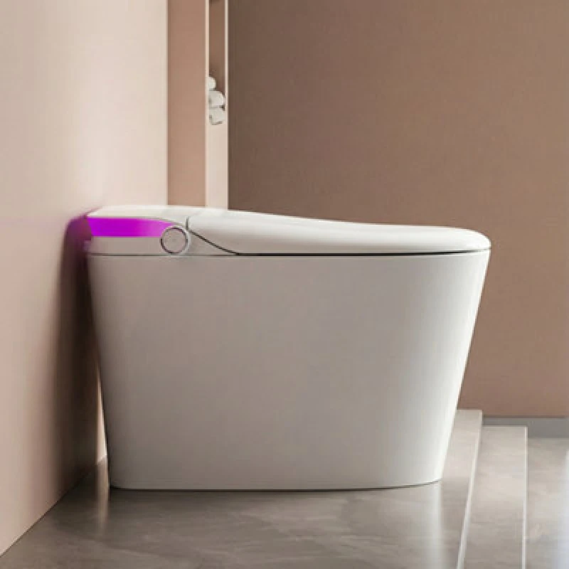 Image of Ener-J Ener J Hygienepro Smart Toilet With Inner Tank Voice Control Heated Seat Bidet White