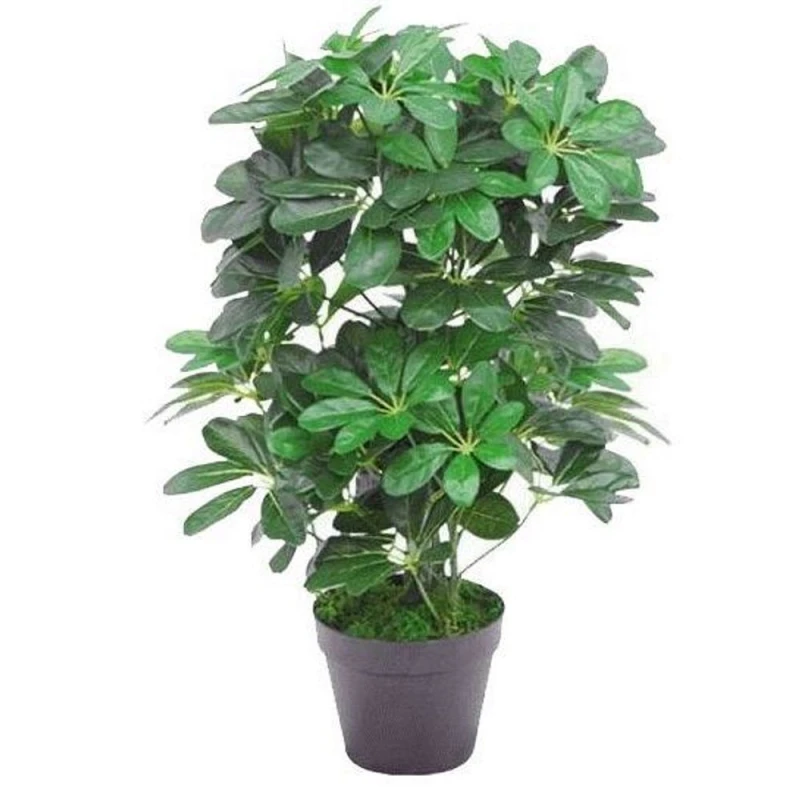Image of Leaf Artificial Evergreen Plant 55Cm Small Plant 55Cm, Green 7063-V2AZ