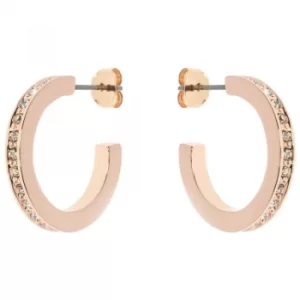 Image of Ladies Karen Millen PVD rose plating Small Hoop Earrings