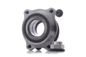 Image of SNR Wheel bearing kit RENAULT R155.84 6025316540,7701208966,8200416590 8200468421,8200618352,8200964240,5125018