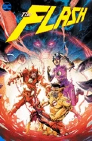 Image of flash vol 14 the flash age