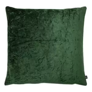 Image of Kassaro Crushed Velvet Cushion