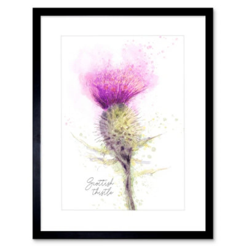 Image of Artery8 Wall Art Print Scottish Thistle Flower Head Watercolour Scotland Framed 9X7 Inch