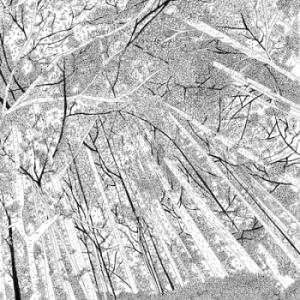 Image of Displaced Soundtracks by Various Artists Vinyl Album