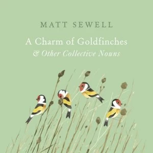 Image of A Charm of Goldfinches and Other Collective Nouns by Matt Sewell Hardback