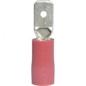 Image of Blade terminal Connector width 4.8mm Connector thickness 0.8 mm