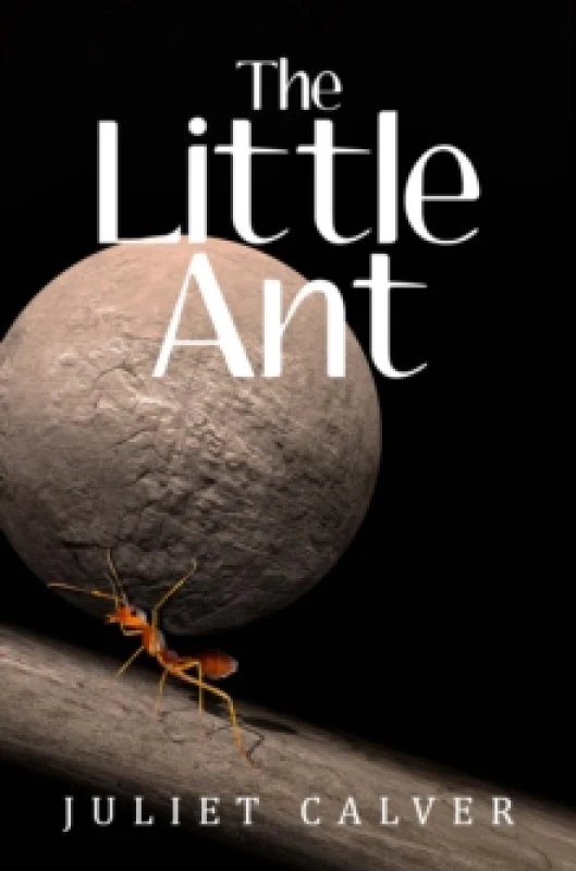 Image of The Little Ant Paperback / softback