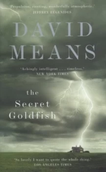 Image of The Secret Goldfish by David Means Hardback