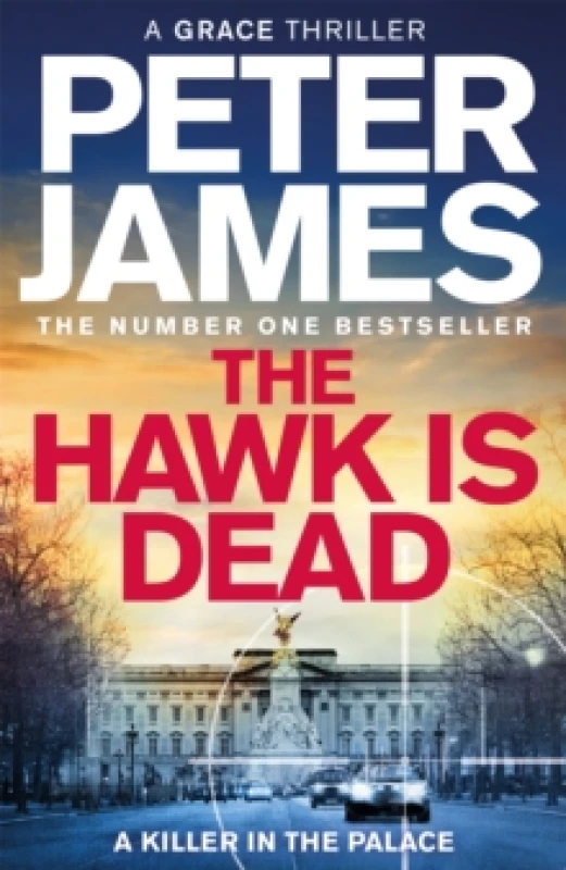 Image of The Hawk Is Dead Hardback