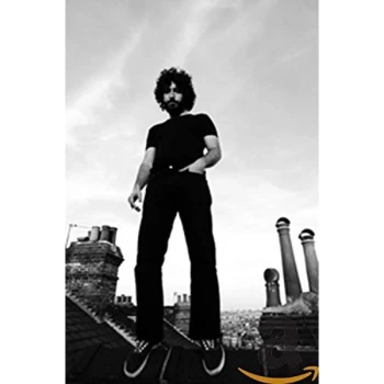 Image of Felix Holt and The Radicals - The Next Big Nobody CD