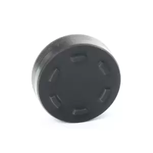 Image of DR.MOTOR AUTOMOTIVE Locking Cover, camshaft DRM0697 VW,AUDI,SKODA,PASSAT Variant (3B6),Touareg (7LA, 7L6, 7L7),PASSAT Variant (3B5)