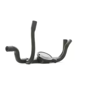 Image of RIDEX Valve, engine block breather Breather Valve 3886V0056 BMW,3 Limousine (E46),3 Touring (E46),3 Coupe (E46),3 Limousine (E36),3 Coupe (E36)