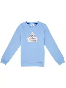 Image of Boys, Pyrenex Large Logo Crew Neck Sweatshirt - Pale Blue Size 14 Years