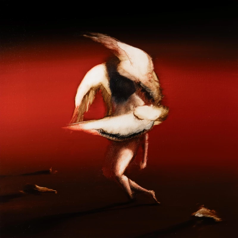 Image of Pain to Power CD / Album Digipak