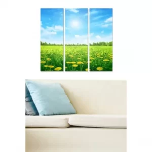 Image of MDF95085385 Multicolor Decorative MDF Painting (3 Pieces)