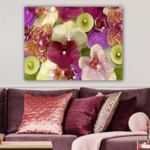 Image of 27857242_70100 Multicolor Decorative Canvas Painting