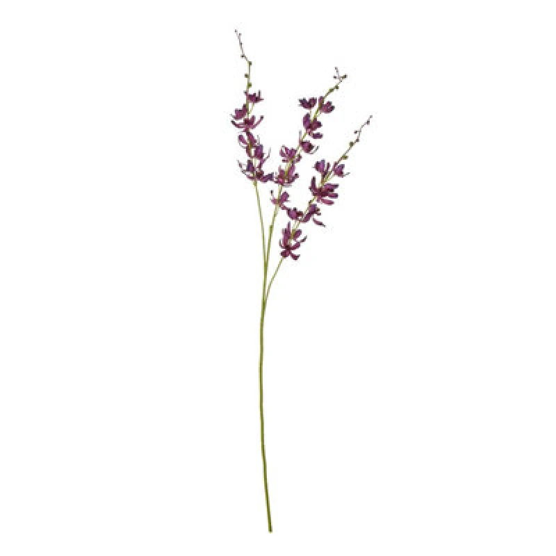 Image of Purple Cymbidium Spray